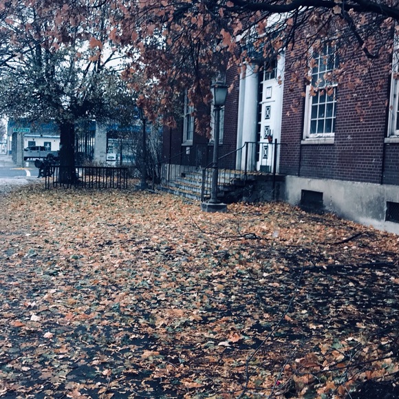 Meet your Posher, Emma - Picture 1 of 1